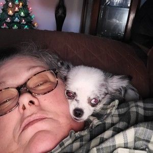 Meet your Posher, Posh